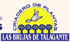 Las Brujas de Talagante